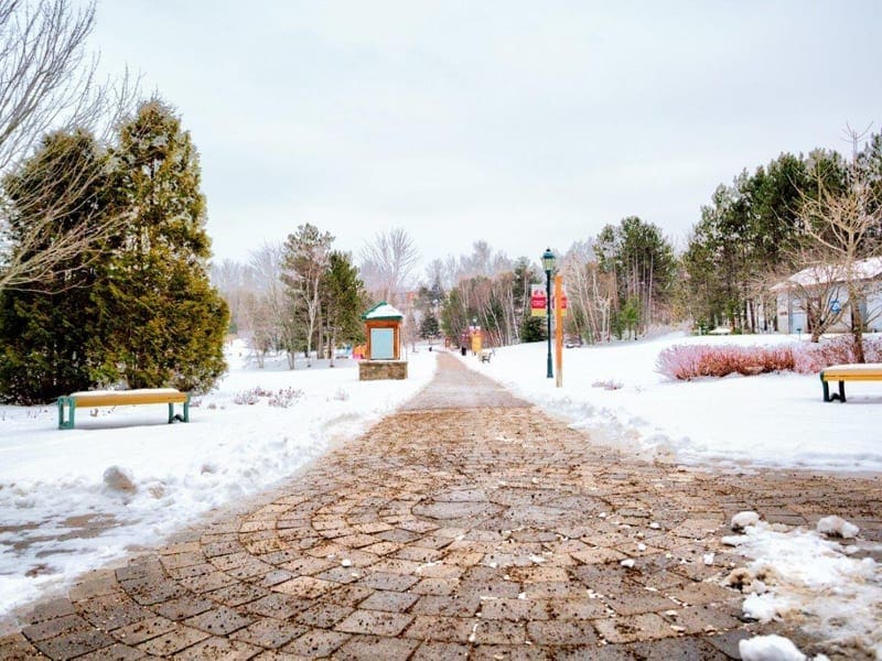 0V9A3768p Eganville Ontario