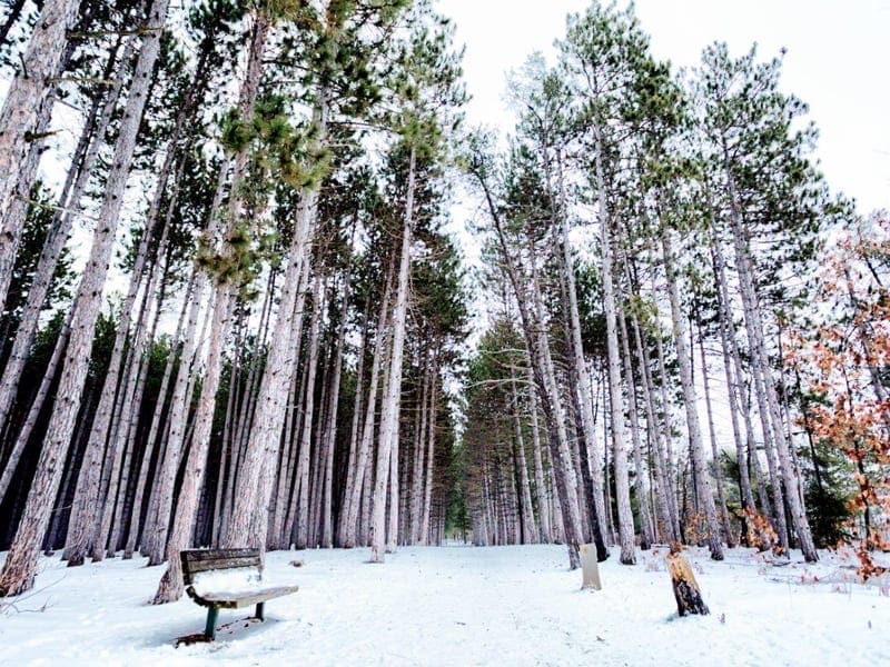 0V9A3768p Eganville Ontario