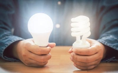 Affordable Ways to Make Your Home More Eco-Friendly