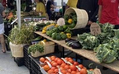 Fresh Picks: The Top Local Farmers Markets to Explore