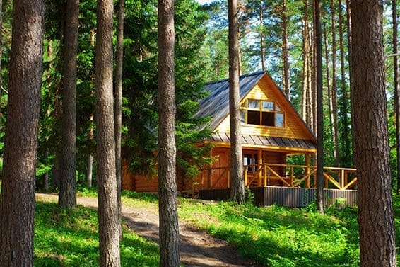 Cottage in forest