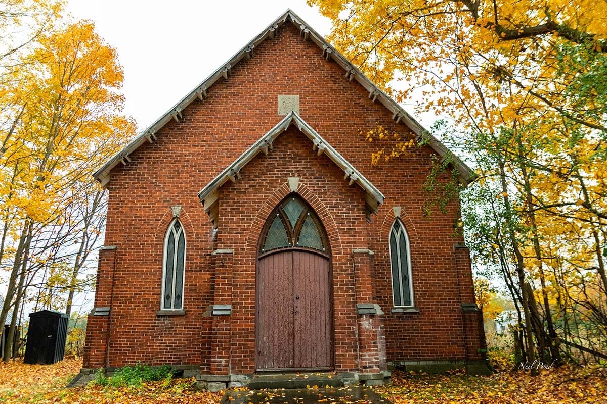 Holstein Show South Frontenac