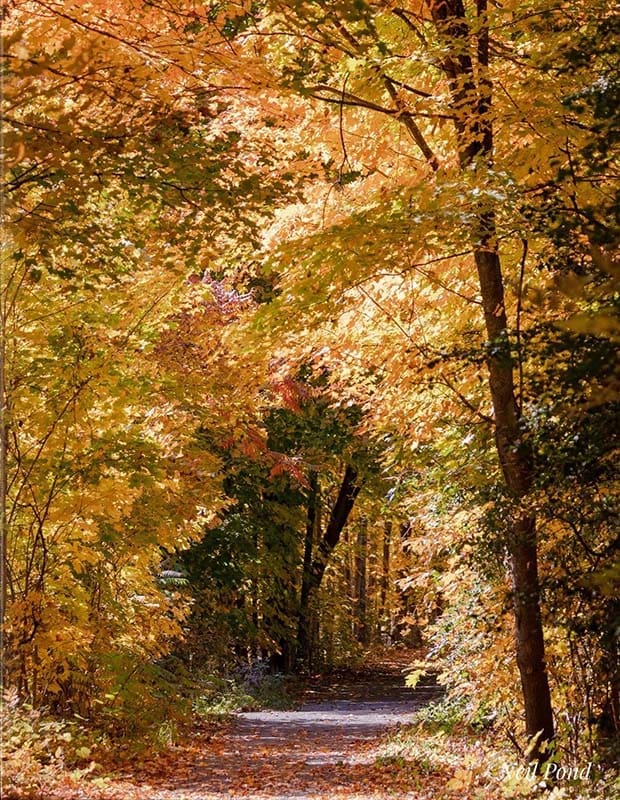 Hiking trail South Frontenac