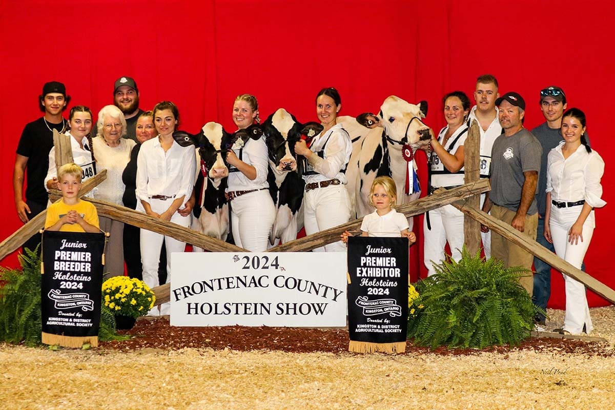Holstein Show South Frontenac