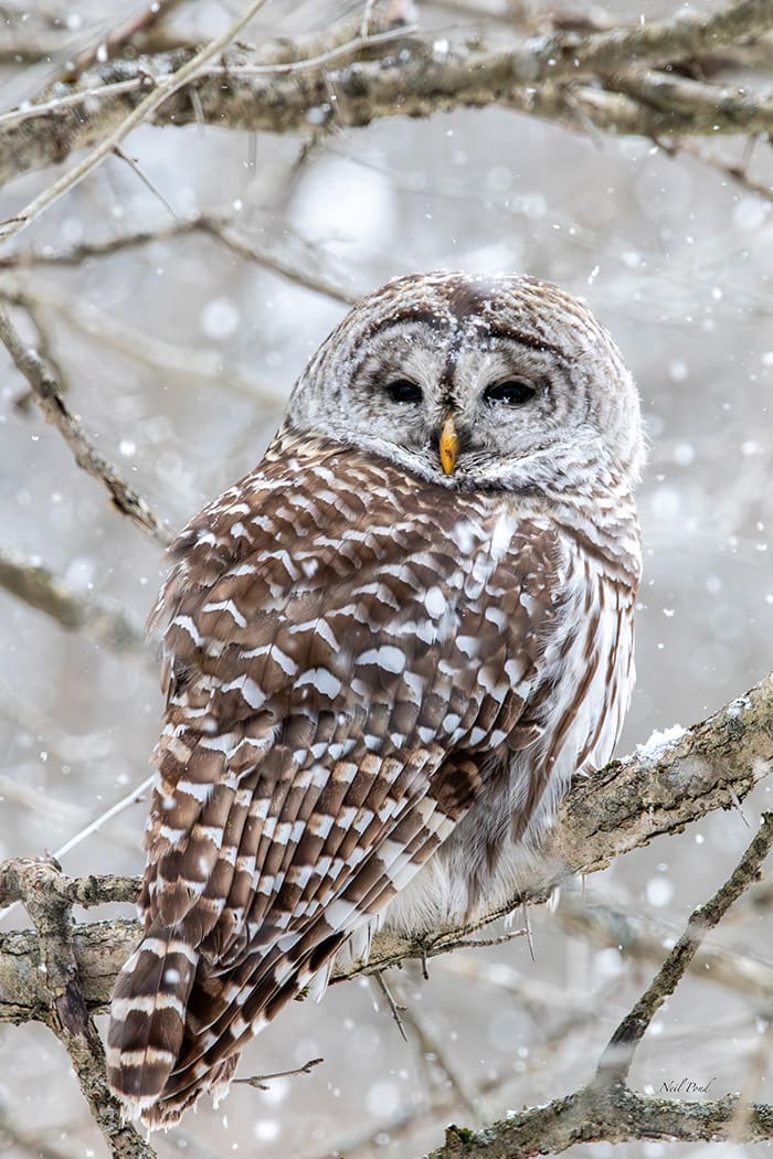 Barn South Frontenac